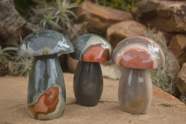 Polished Polychrome / Picasso Jasper Mushrooms  x 3 From Madagascar - TopRock