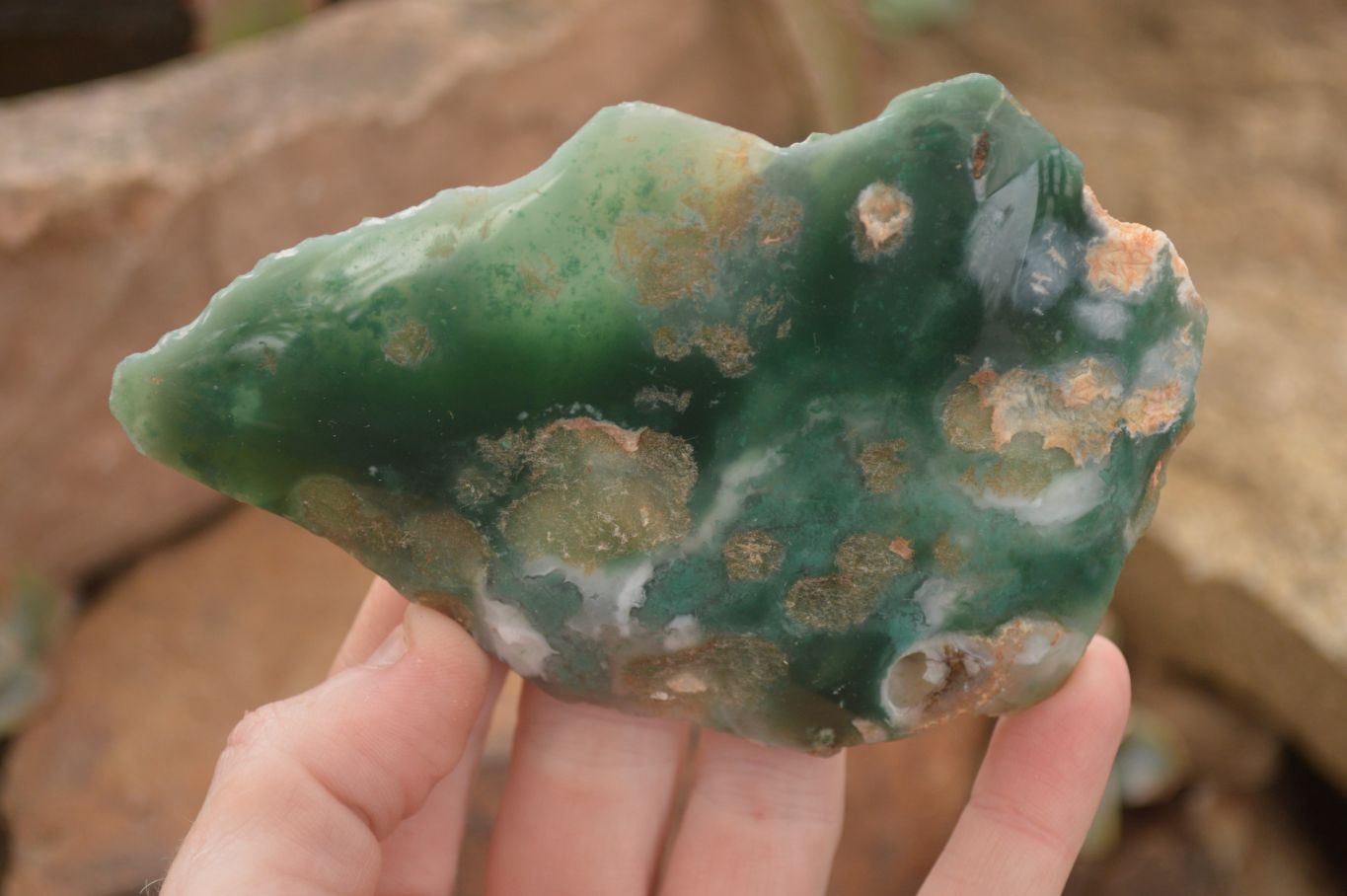 Polished On One Side Emerald Mtorolite Plates x 6 From Mutorashanga, Zimbabwe - Toprock Gemstones and Minerals 