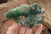 Polished On One Side Emerald Mtorolite Plates x 6 From Mutorashanga, Zimbabwe - Toprock Gemstones and Minerals 