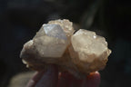 Natural Smokey Quartz Clusters x 3 From Luena, Congo - Toprock Gemstones and Minerals 