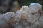 Natural Cascading White Phantom Smokey Quartz Cluster x 1 From Luena, Congo - Toprock Gemstones and Minerals 