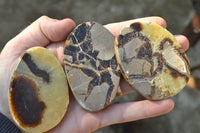 Polished Septerye (Aragonite & Calcite) Slices x 18 From Mahajanga, Madagascar - TopRock
