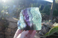 Polished Watermelon Fluorite Slabs  x 2 From Uis, Namibia - Toprock Gemstones and Minerals 