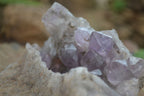 Natural Jacaranda Amethyst Cluster x 1 From Mumbwa, Zambia - TopRock