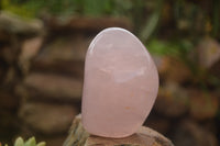 Polished Pink Rose Quartz Standing Free Forms x 2 From Ambatondrazaka, Madagascar - TopRock