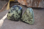 Polished Leopard Stone Free Forms  x 6 From Inyanga, Zimbabwe - Toprock Gemstones and Minerals 