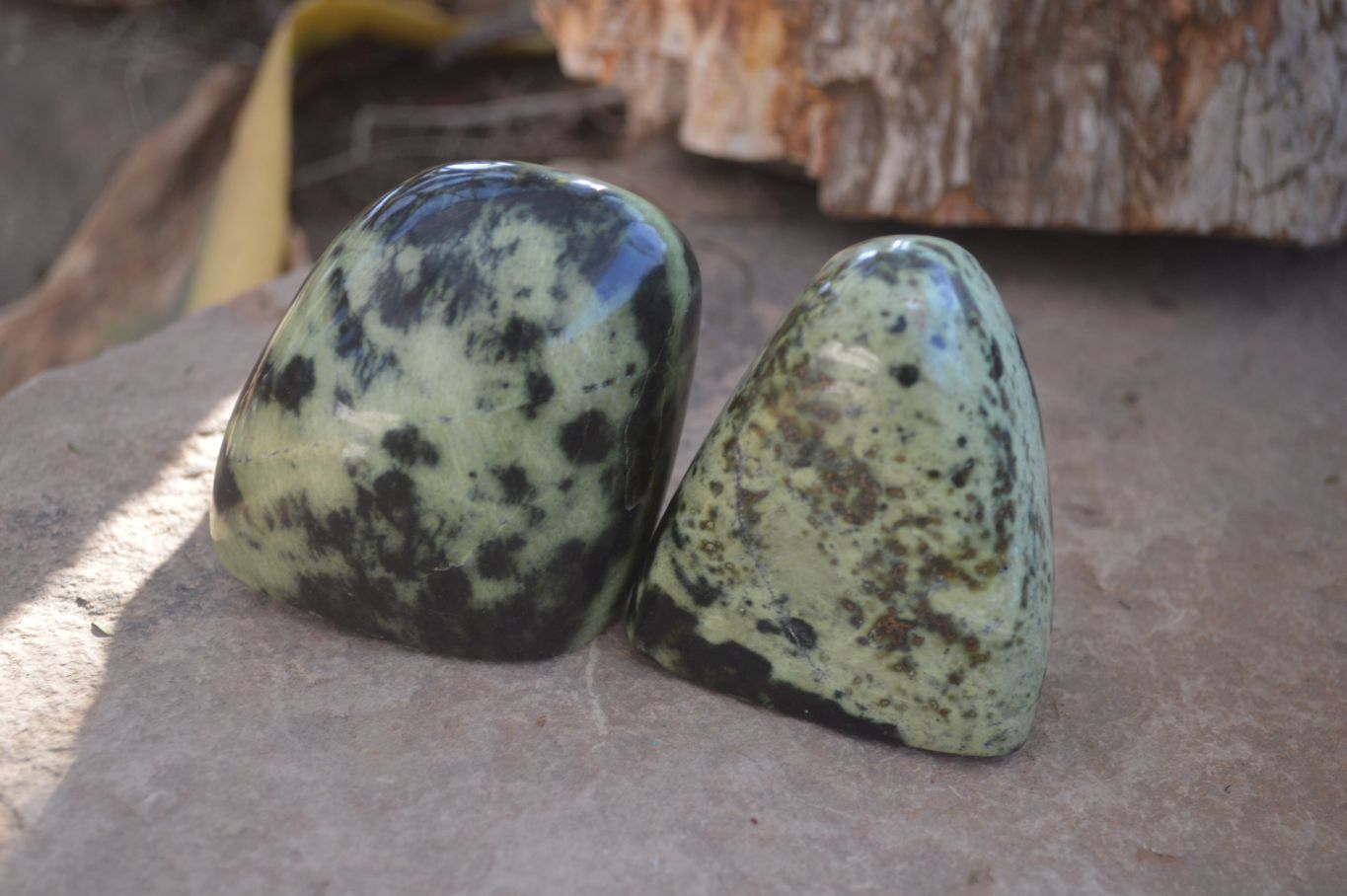 Polished Leopard Stone Free Forms  x 6 From Inyanga, Zimbabwe - Toprock Gemstones and Minerals 