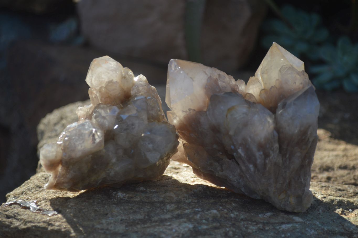 Natural Smokey Quartz Clusters x 3 From Luena, Congo - Toprock Gemstones and Minerals 