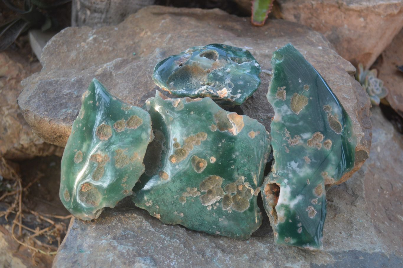 Polished On One Side Emerald Mtorolite Plates x 4 From Mutorashanga, Zimbabwe - Toprock Gemstones and Minerals 