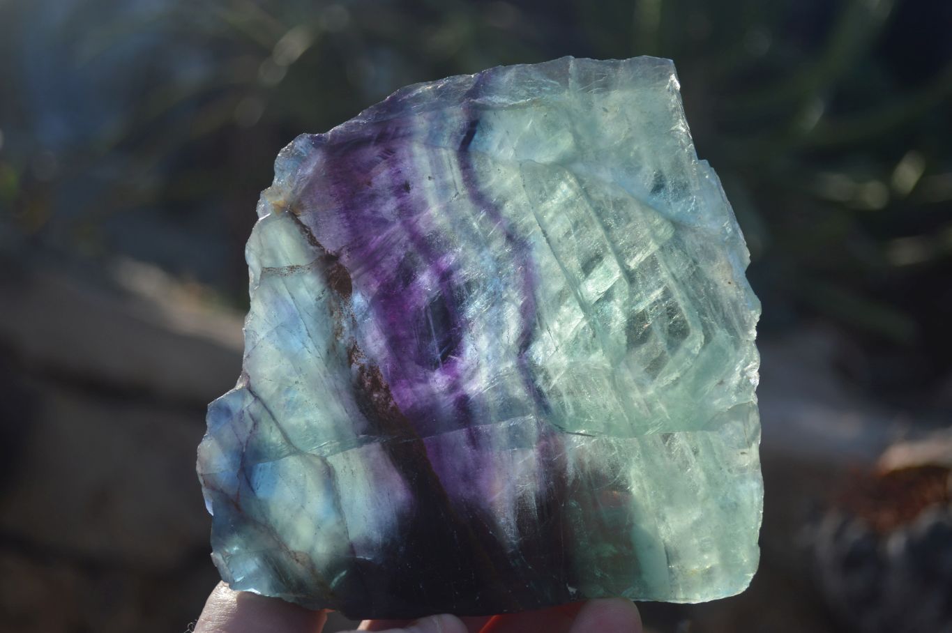 Polished Watermelon Fluorite Slabs  x 2 From Uis, Namibia - Toprock Gemstones and Minerals 