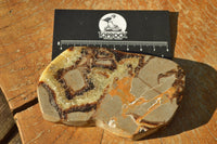 Polished Septerye (Aragonite & Calcite) Slices x 18 From Mahajanga, Madagascar - TopRock