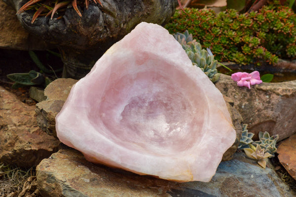 Polished Pink Rose Quartz Bowl With A Natural Base  x 1 From Madagascar - TopRock