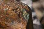 Natural Sliced Tigers Eye Specimen x 1 From Prieska, South Africa - Toprock Gemstones and Minerals 