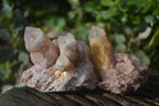 Natural Pink Candle Quartz Clusters  x 12 From Madagascar - Toprock Gemstones and Minerals 