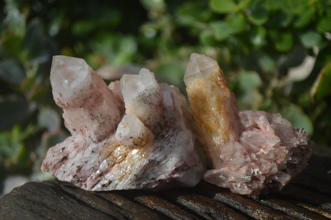 Natural Pink Candle Quartz Clusters  x 12 From Madagascar - Toprock Gemstones and Minerals 