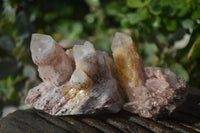 Natural Pink Candle Quartz Clusters  x 12 From Madagascar - Toprock Gemstones and Minerals 
