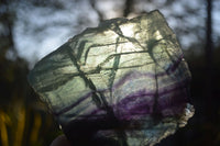 Polished Watermelon Fluorite Slabs  x 2 From Uis, Namibia - Toprock Gemstones and Minerals 