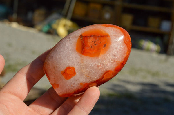 Polished Carnelian Agate Standing Free Forms  x 6 From Madagascar - TopRock