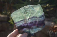 Polished Watermelon Fluorite Slabs  x 2 From Uis, Namibia - Toprock Gemstones and Minerals 
