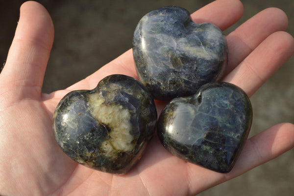 Polished X Rare Small Iolite Water Sapphire Hearts  x 12 From Madagascar - TopRock