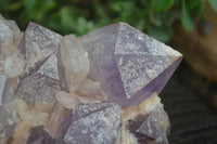 Natural Jacaranda Amethyst Cluster x 1 From Mumbwa, Zambia - TopRock