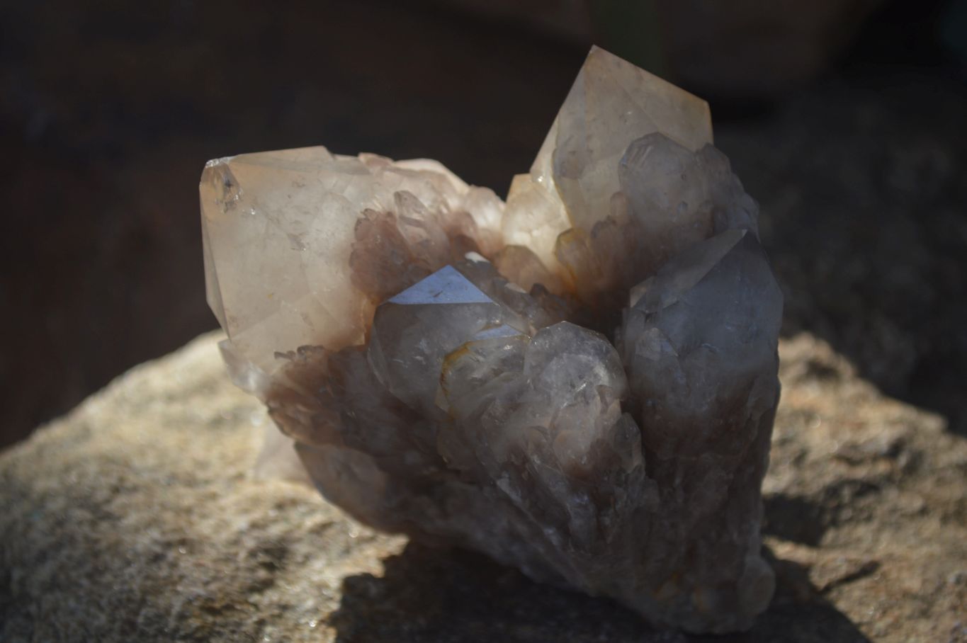 Natural Smokey Quartz Clusters x 3 From Luena, Congo - Toprock Gemstones and Minerals 