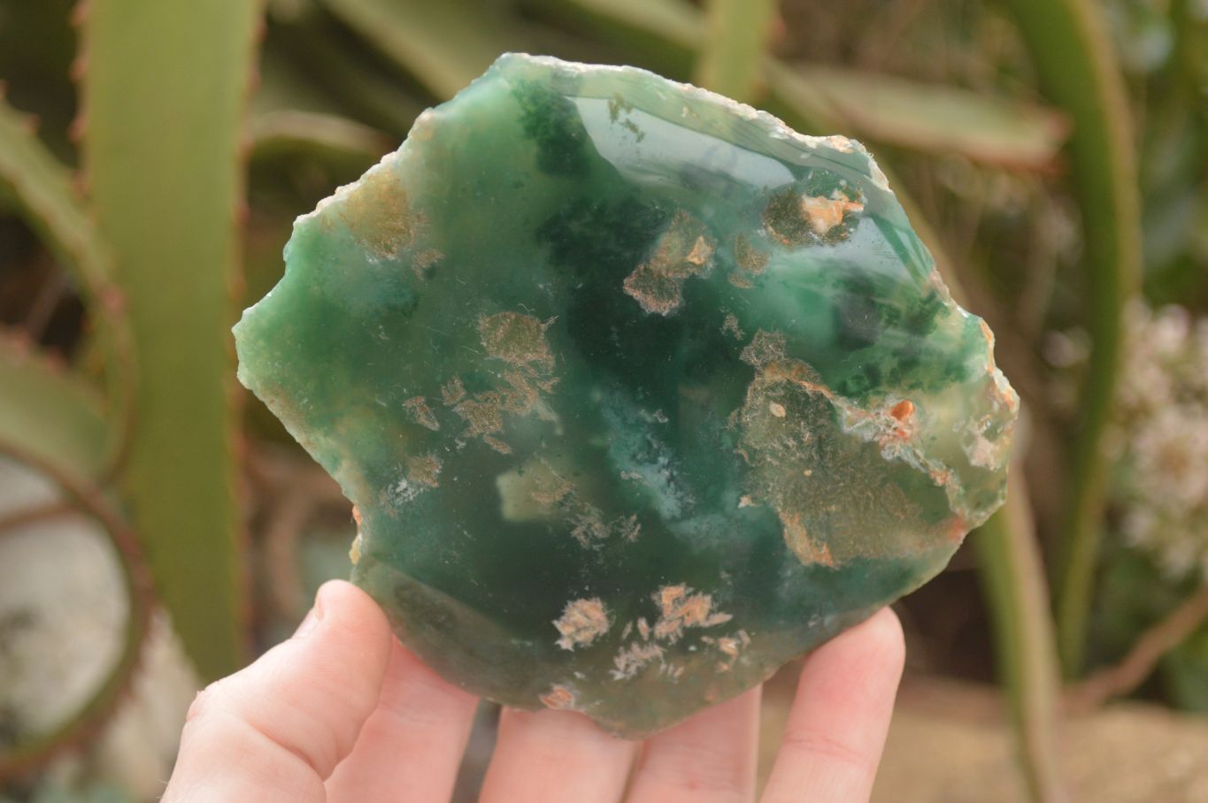 Polished On One Side Emerald Mtorolite Plates x 6 From Mutorashanga, Zimbabwe - Toprock Gemstones and Minerals 