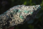Natural Rare Emerald In Mica Schist  x 2 From Sandawana, Zimbabwe - Toprock Gemstones and Minerals 