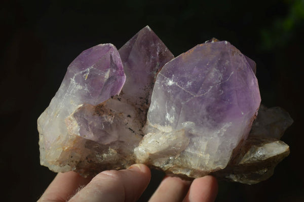 Natural Jacaranda Amethyst Clusters x 2 From Zambia - Toprock Gemstones and Minerals 