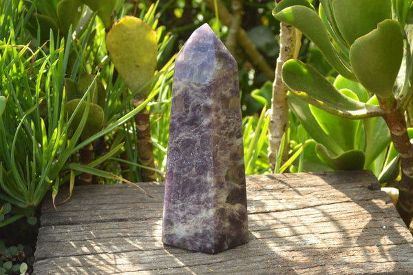 Polished Small Décor Purple Lepidolite Point with Pink Tourmaline x 1 From Madagascar - TopRock