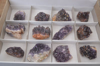 Natural Dark Amethyst Clusters (Stone Sealed) x 12 From Zambia - Toprock Gemstones and Minerals 