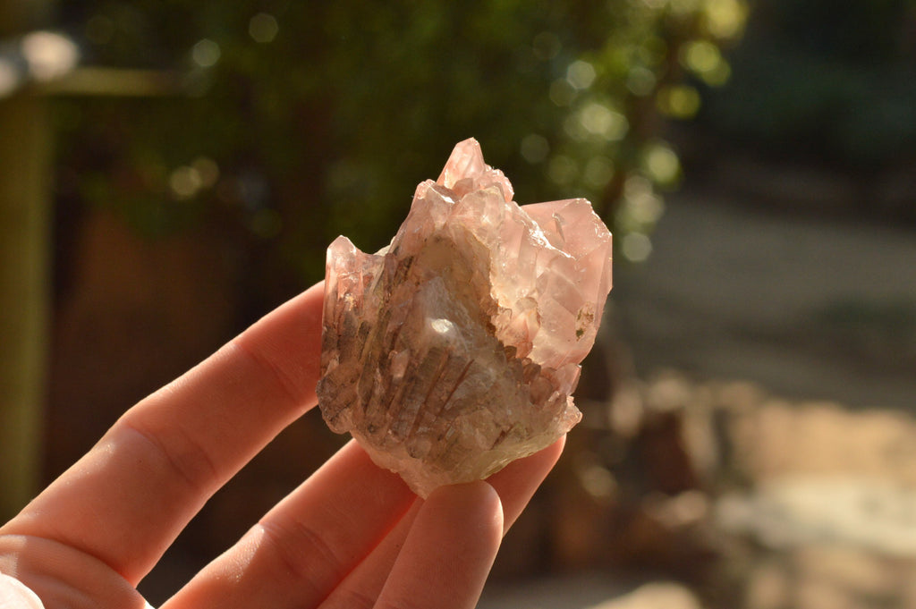Natural Small Single Red Hematoid Quartz Crystals & Clusters  x 43 From Karoi, Zimbabwe - TopRock