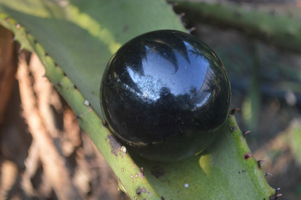 Polished Schorl Black Tourmaline Spheres  x 2 From Madagascar