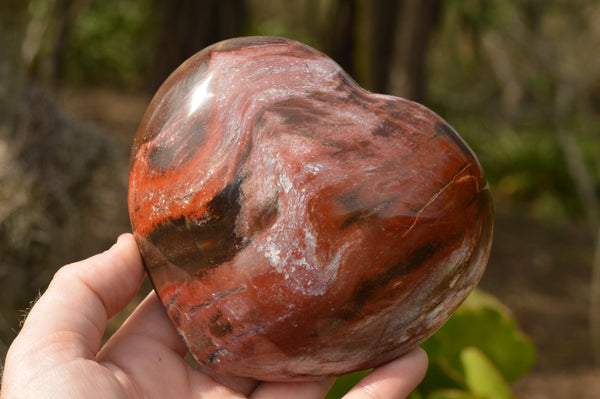 Polished Stunning Petrified Red Podocarpus Wood Hearts  x 2 From Mahajanga, Madagascar - TopRock