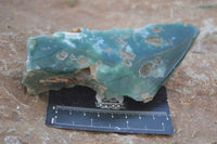 Polished On One Side Emerald Mtorolite Plates x 4 From Mutorashanga, Zimbabwe - Toprock Gemstones and Minerals 