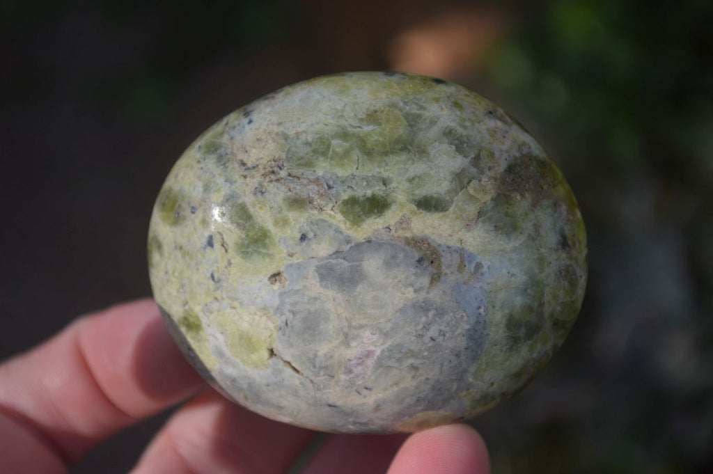 Polished selected Green Opal Palm Stones x 12 From Antsirabe, Madagascar - Toprock Gemstones and Minerals 