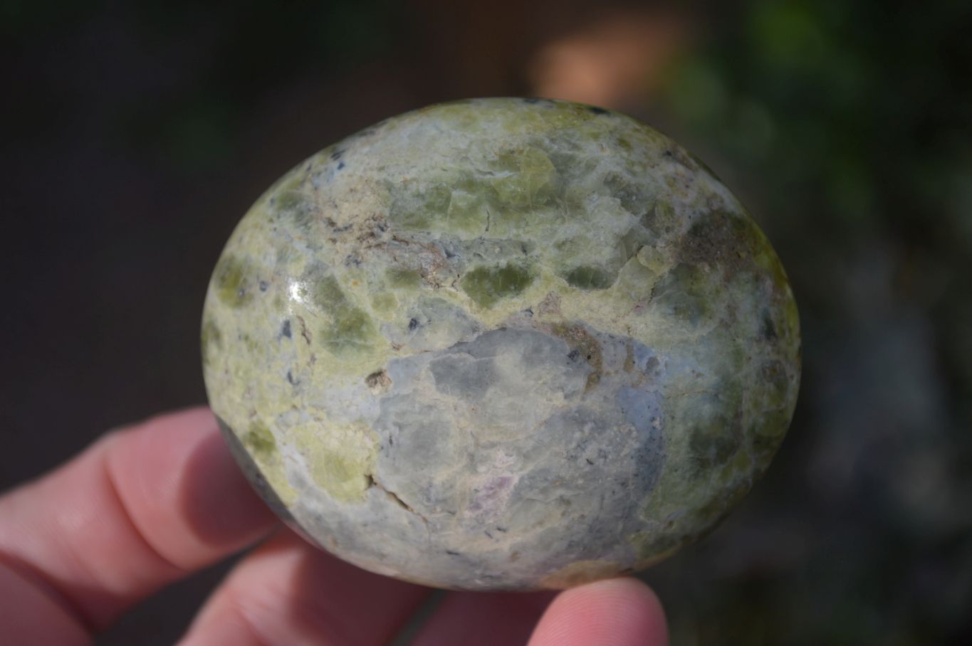 Polished selected Green Opal Palm Stones x 12 From Antsirabe, Madagascar - Toprock Gemstones and Minerals 