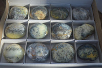 Polished Dendritic Opal Galet / Palm Stone x 12 from Madagascar - Toprock Gemstones and Minerals 