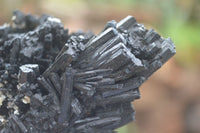 Natural Schorl Black Tourmaline Specimens  x 2 From Erongo Mountains, Namibia - TopRock
