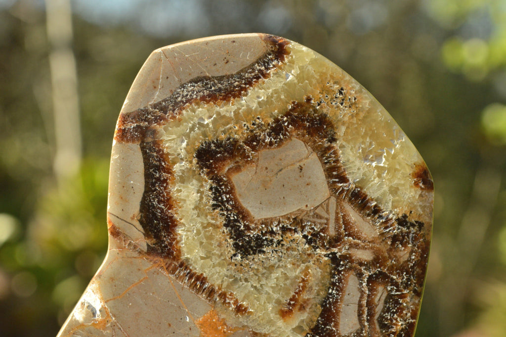 Polished Septerye (Aragonite & Calcite) Slices x 18 From Mahajanga, Madagascar - TopRock