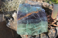 Polished Watermelon Fluorite Slabs  x 2 From Uis, Namibia - Toprock Gemstones and Minerals 