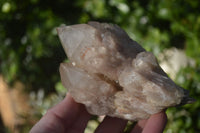 Natural Cascading Smokey Quartz Clusters x 2 From Luena, Congo - Toprock Gemstones and Minerals 