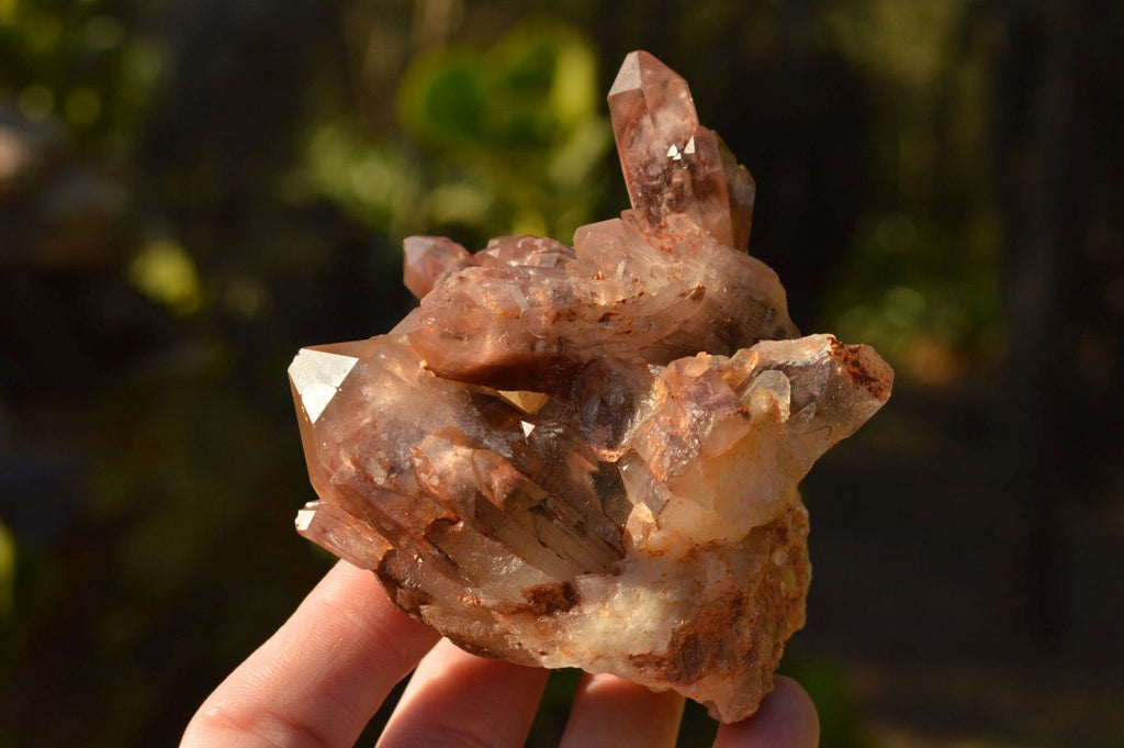 Natural Red Hematoid Phantom Quartz Clusters  x 6 From Karoi, Zimbabwe - TopRock