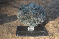 Natural Rare Emerald In Mica Schist  x 2 From Sandawana, Zimbabwe - Toprock Gemstones and Minerals 