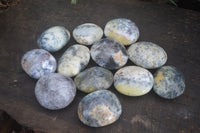Polished Dendritic Opal Galet / Palm Stone x 12 from Madagascar - Toprock Gemstones and Minerals 