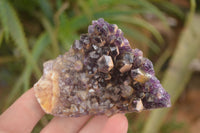 Natural Dark Amethyst Clusters (Stone Sealed) x 12 From Zambia - Toprock Gemstones and Minerals 