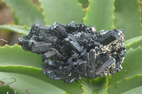 Natural Schorl Black Tourmaline Specimens  x 2 From Erongo Mountains, Namibia - TopRock