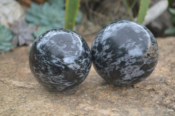 Polished Merlinite Gabbro Spheres  x 2 From Madagascar - TopRock