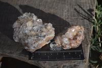 Natural Clear Hematoid Quartz With Goethite Inclusions x 13 From Zambia - Toprock Gemstones and Minerals 