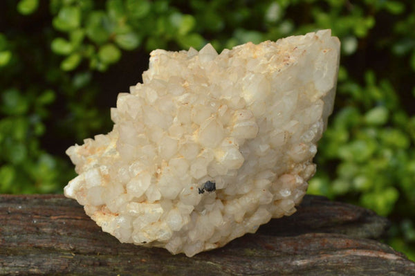 Natural Mixed Quartz Clusters x 3 From Madagascar - TopRock